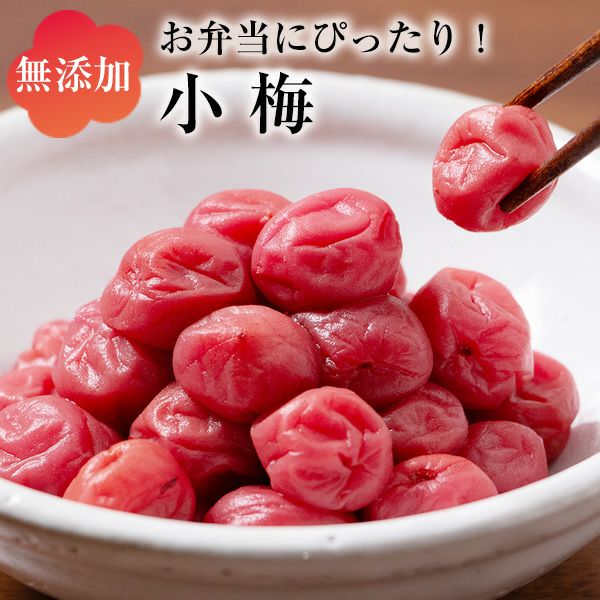 小梅 400g 無添加 九州産 お弁当用 | 朝ごはん本舗