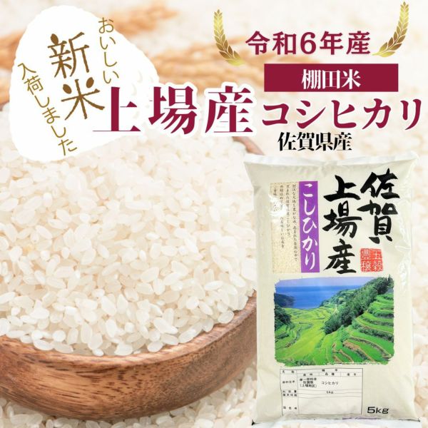 新米】上場産コシヒカリ 棚田米 5kg 佐賀県産 令和6年産 | 朝ごはん本舗