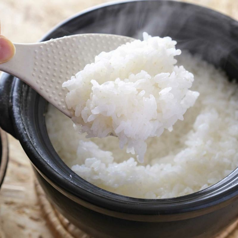 新米】上場産コシヒカリ 棚田米 5kg 佐賀県産 令和7年産 ご予約