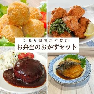 お弁当のおかず4種セット  【冷凍】