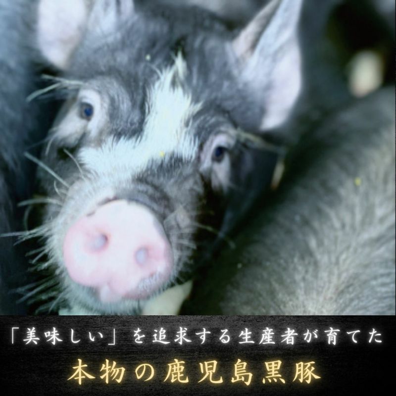 鹿児島黒豚 ももしゃぶしゃぶ用 400g 冷凍便