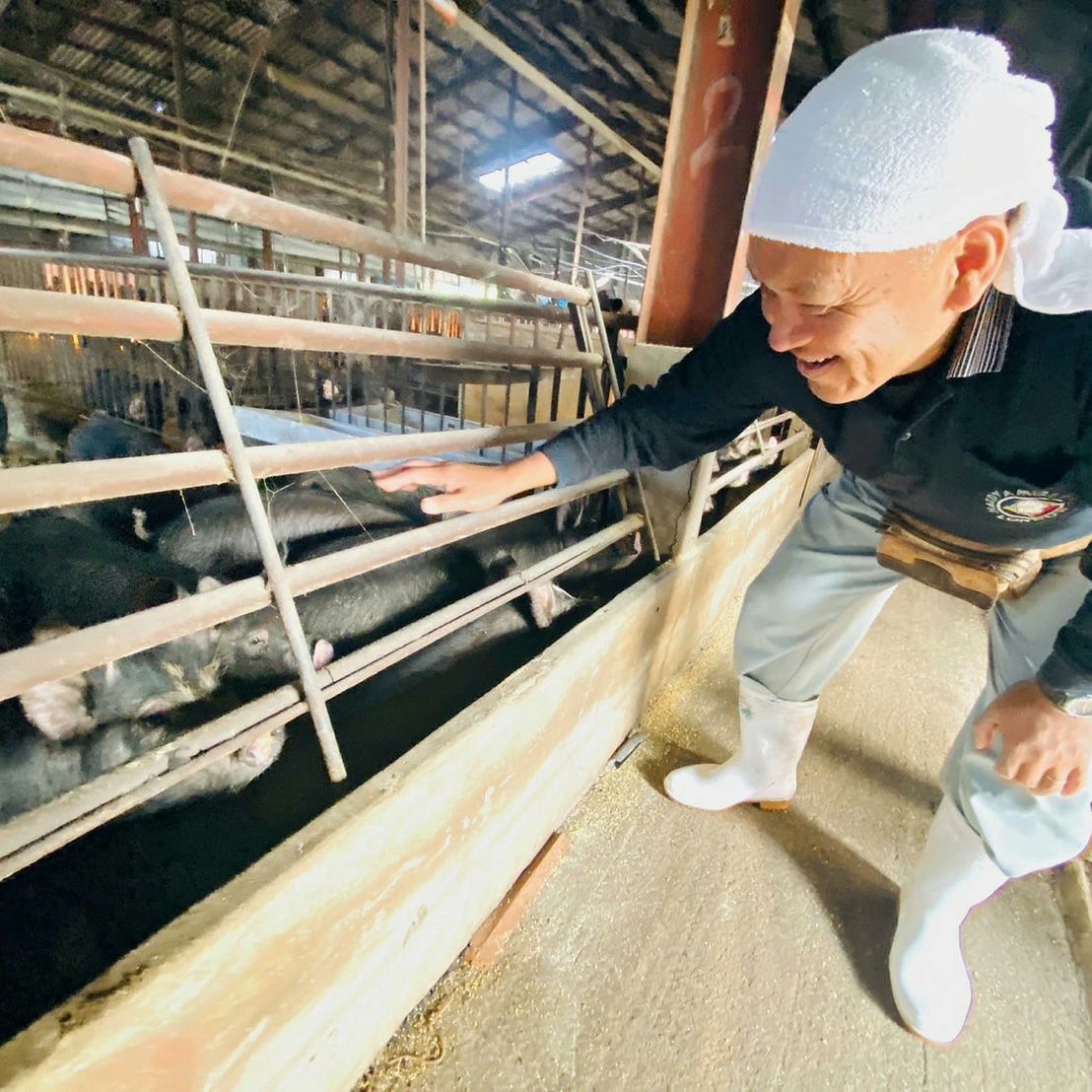 鹿児島黒豚 ももしゃぶしゃぶ用 400g 冷凍便