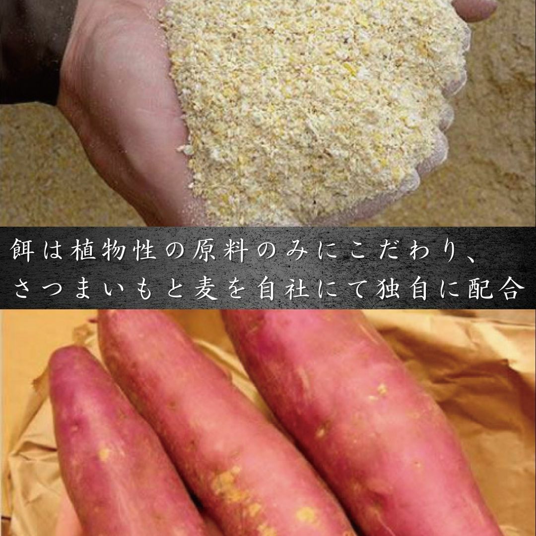 鹿児島黒豚 切り落とし 500g 冷凍便