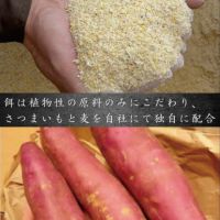 鹿児島黒豚 ハンバーグ 2個入 うまみ調味料不使用 冷凍便