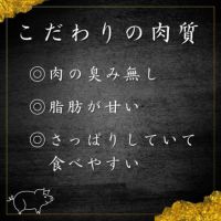 鹿児島黒豚 ハンバーグ 2個入 うまみ調味料不使用 冷凍便