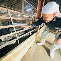鹿児島黒豚 ハンバーグ 2個入 うまみ調味料不使用 冷凍便