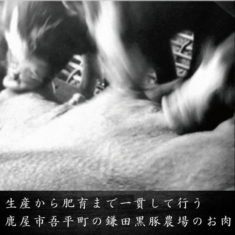 鹿児島黒豚　みそ漬けステーキ 2枚入 惣菜 冷凍便