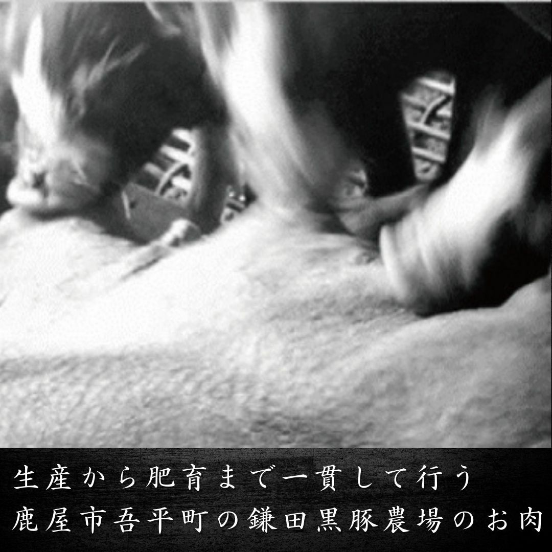 鹿児島黒豚　みそ漬けステーキ 2枚入 惣菜 冷凍便