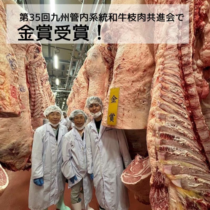 博多和牛　ヒレステーキ100g×2 化粧箱入 冷凍