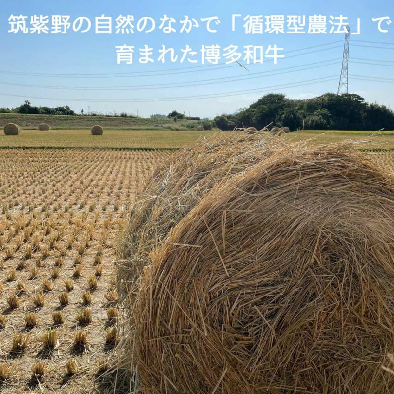 博多和牛　サーロインステーキ200g×2 化粧箱入 冷凍