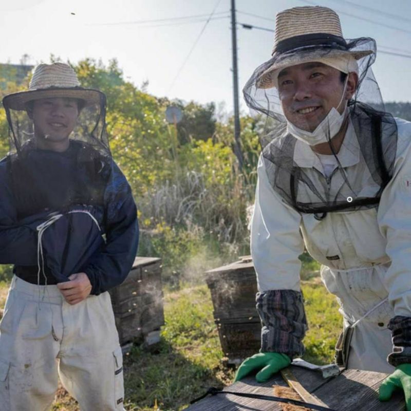 はちみつギフト