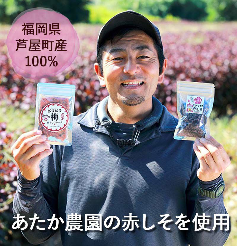 サクッと！赤しそ　福岡県芦屋町産