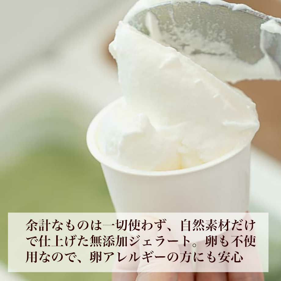 クリスマスジェラートケーキ 無添加 卵不使用 冷凍 直送