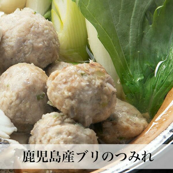 海鮮鍋セット 2人前 冷凍